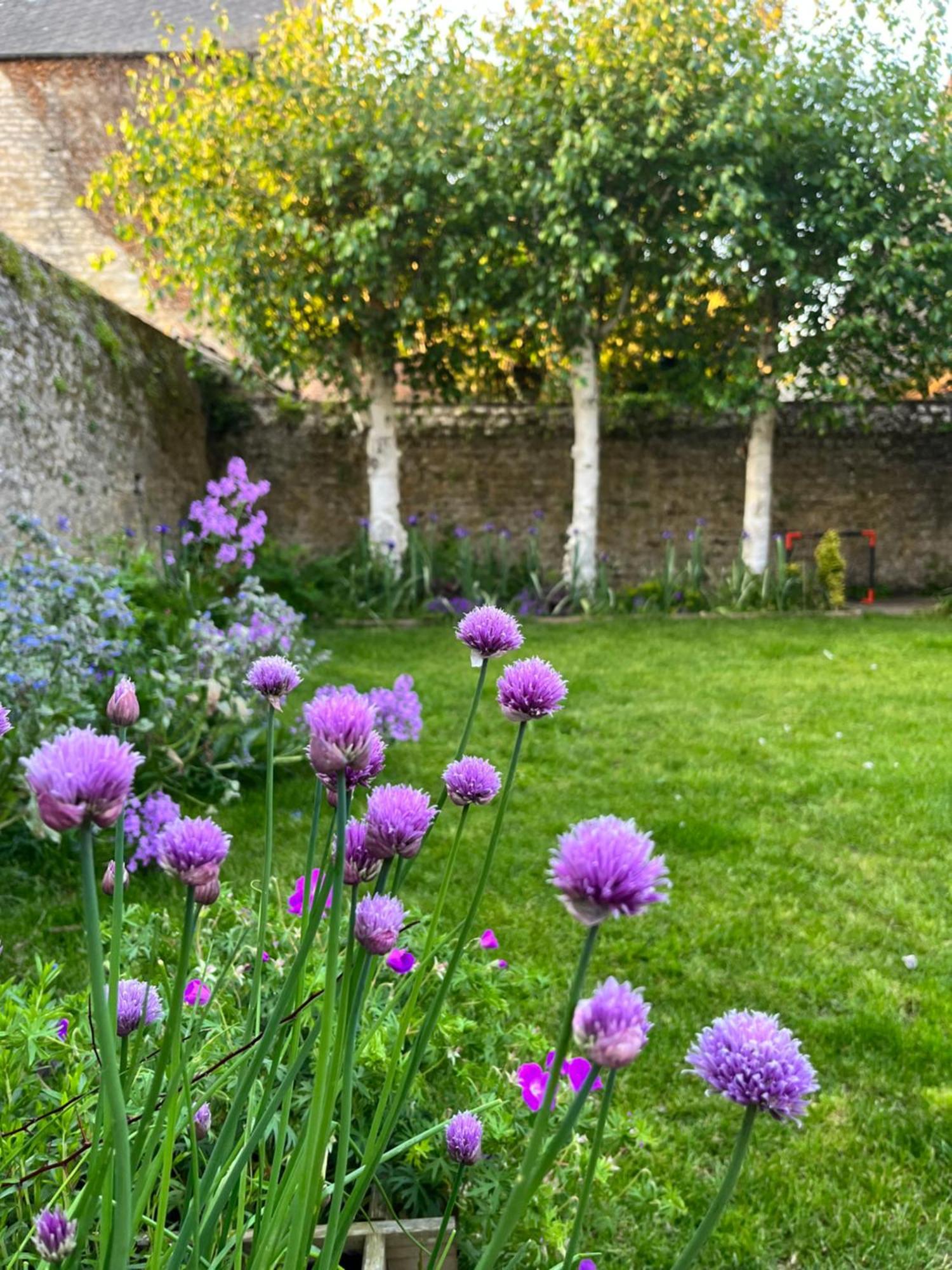 Maison Chaleureuse Avec Jardin - Pause Normande Sees Bagian luar foto